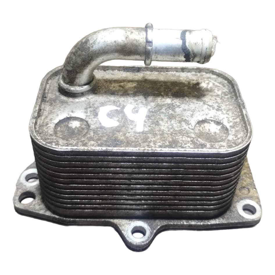 Trocador Calor Óleo Citroen C4 Pallas 2.0 Flex 2007/2012