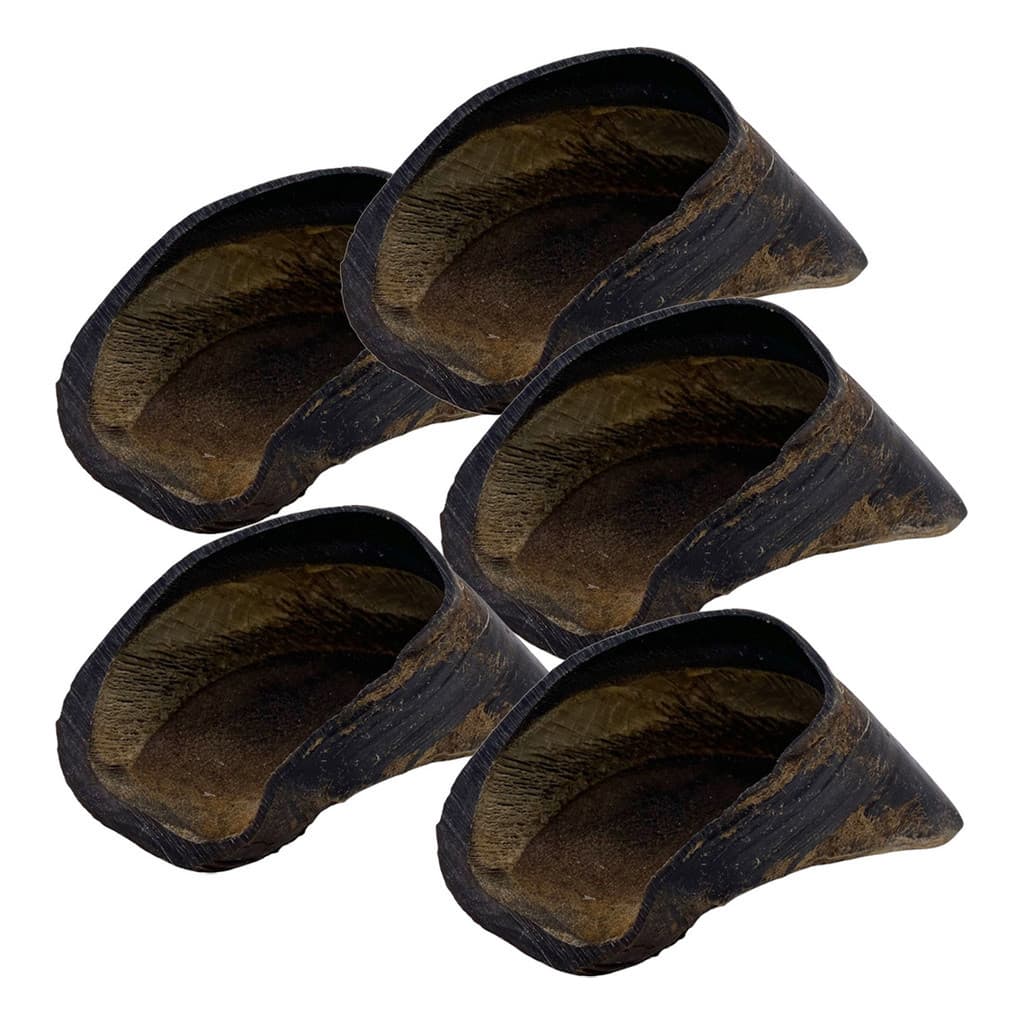 Kit 5 Cascos Bovinos Naturais BeefBone para Cães Adultos  Mordedor 100% Natural
