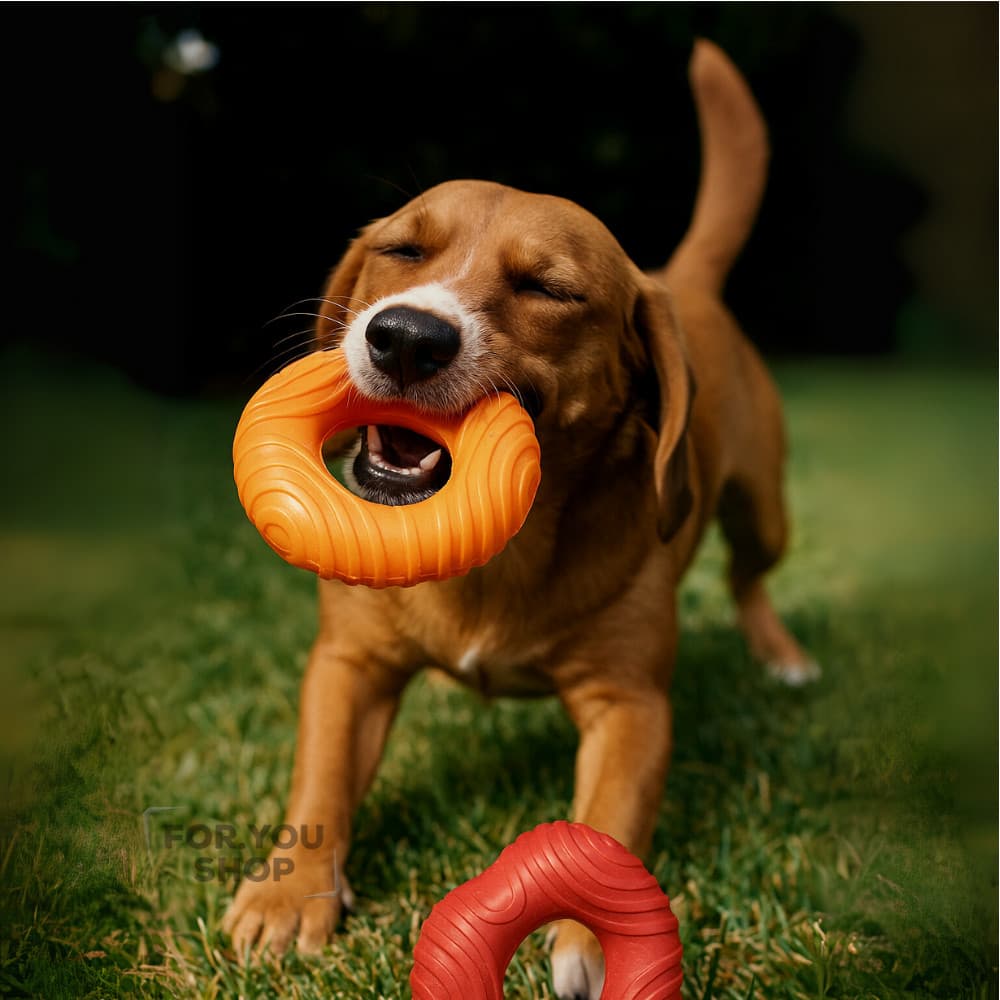 Anel de Borracha Mordedor Pet Reforçado para Cachorros | Brinquedo Durável e Seguro para Higiene e Diversão