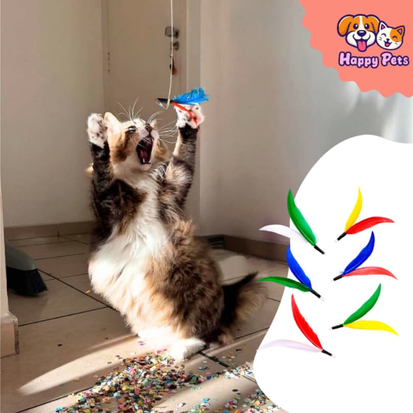 Refil Da Varinha Flying Cat Da Pet Games Com 6 Iscas Penadas Brinquedo Para Gato Caçar