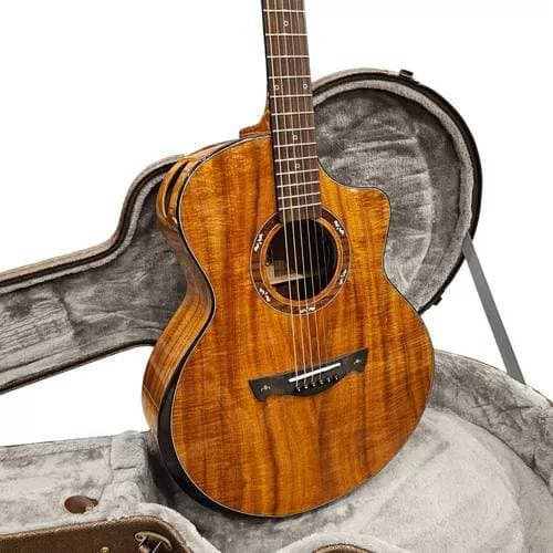 VIOLAO TAGIMA ELÉTRICO AÇO CF-5000 NATURAL COM CASE