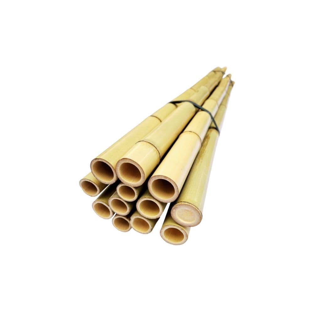 Bambu Tratado Para Artesanato: 80cm x 40mm - 5 Unidades