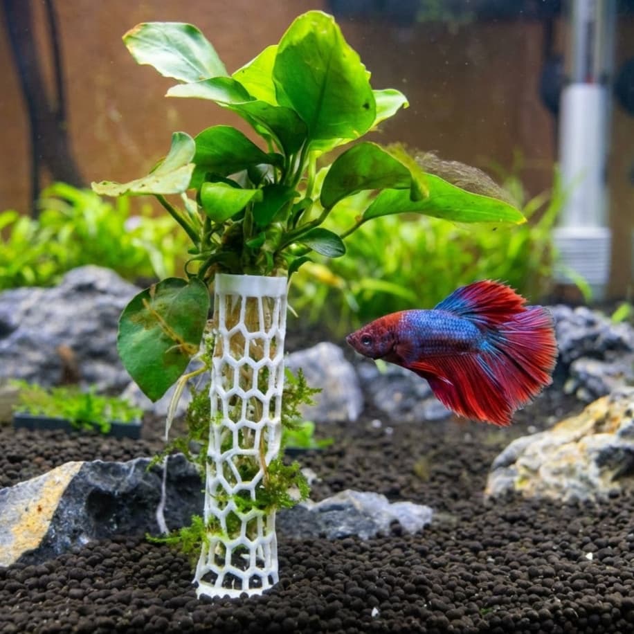 Torre Musgo e Plantas Aquário Decoração - Ideal Para Raízes e Peixe Betta