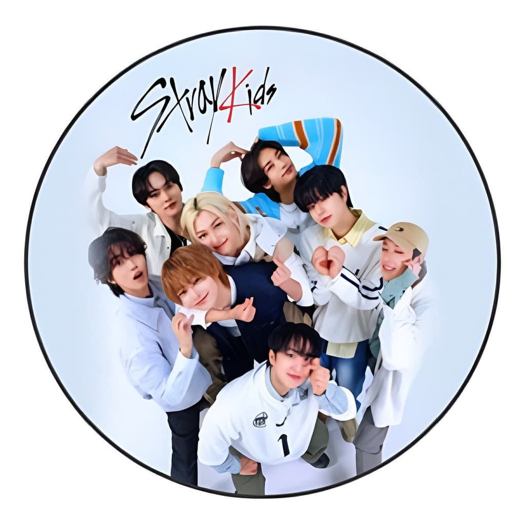 Painel Redondo Stray Kids K-pop Felix 50x50cm Com Elastico