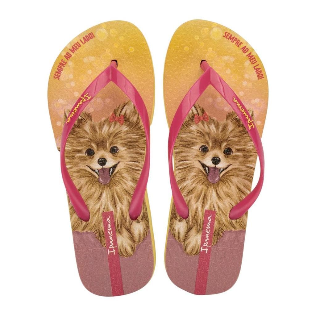 Chinelo Feminino Ipanema Pets Pop REF: 27540