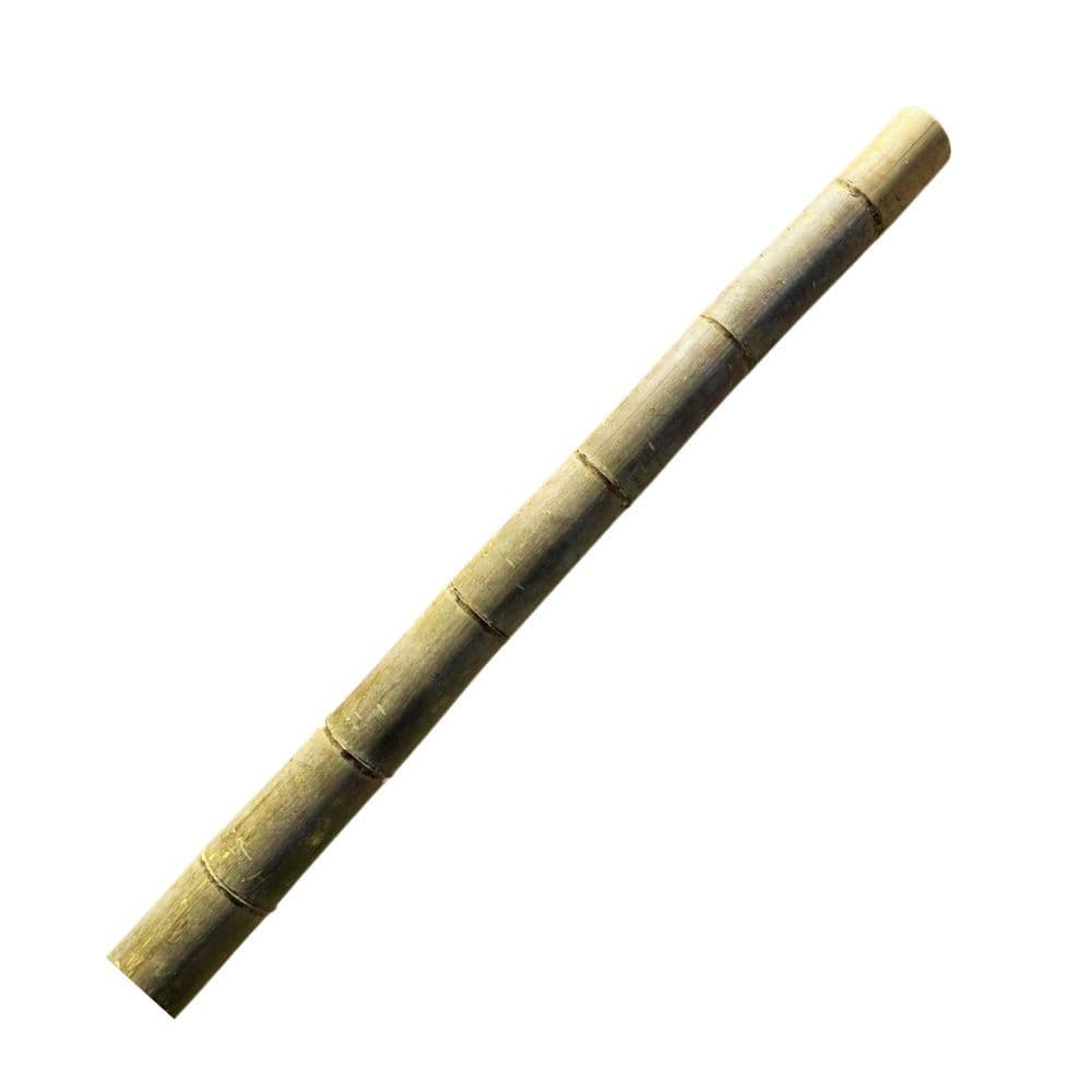 Bambu Mossô Sem Tratamento 1m x 10cm - Natural e Rústico | NC Caieiras