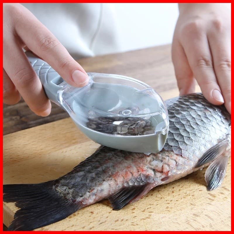 Escamador/raspador de peixe, um escamador doméstico que não machuca as mãos ao escamar peixe, com gancho.