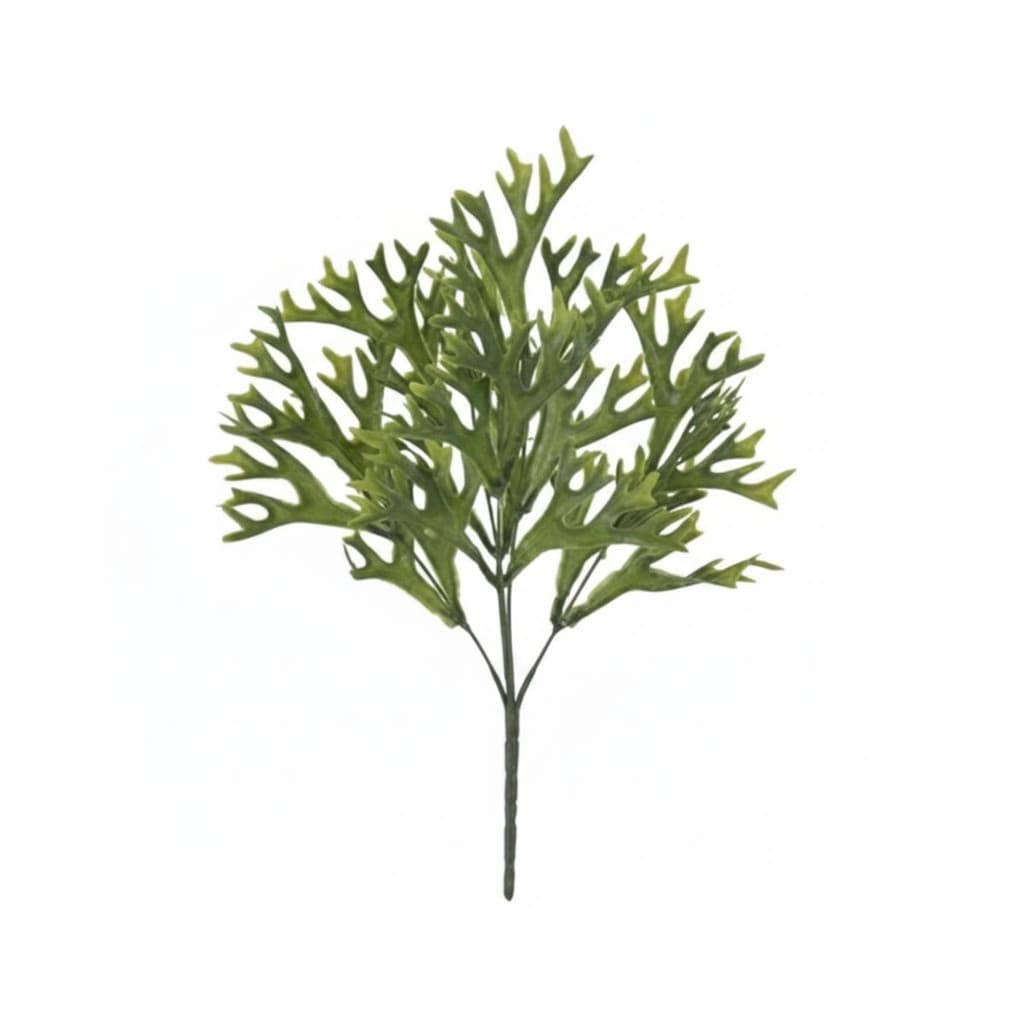 Haste Pick Chifre de Veado 23cm x6 | Planta Artificial