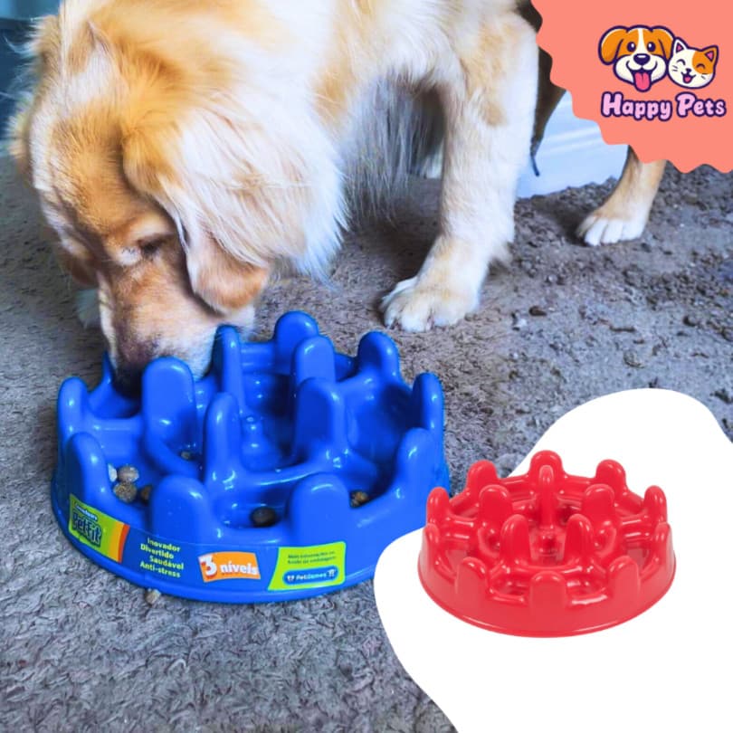 Comedouro Lento Pet Fit Da Pet Games Para Cão Porte Médio Grande Divertido Saudável Para Cachorro