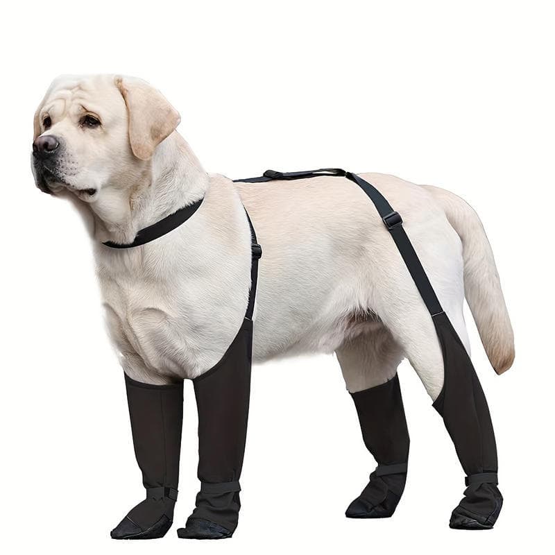 1 conjunto de botas de chuva para cães, botas impermeáveis para cães, botas para filhotes pequenos, cães médios e grande
