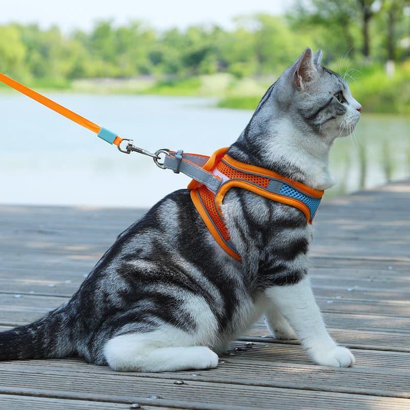 Coleira Ajustável Anti-Fuga para Gatos com Guia, Colete Macio para Passeio de Animais de Estimação para Cães Pequenos, G