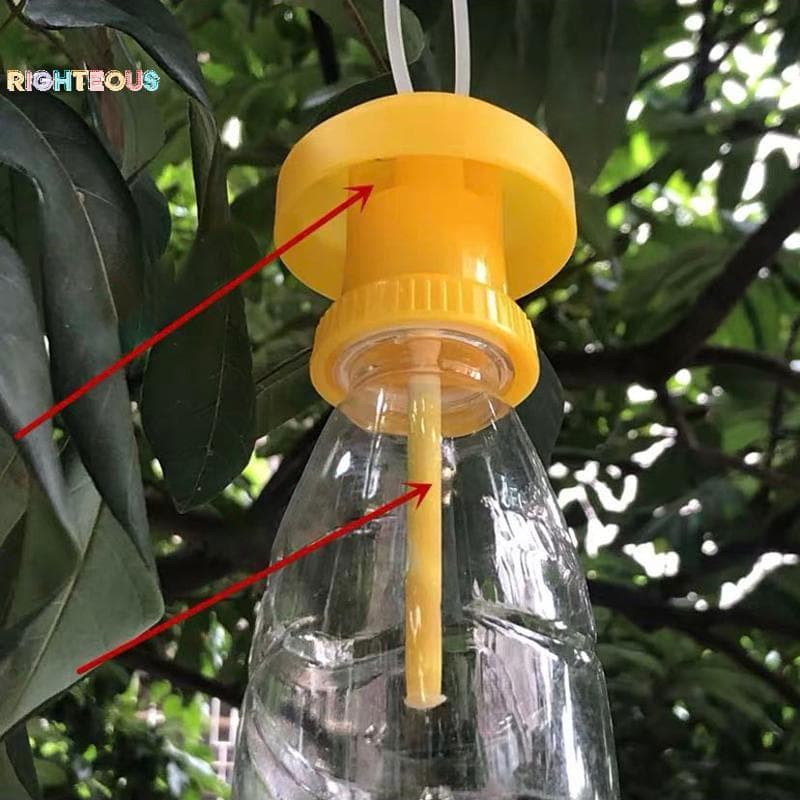 Rightrous Fruit Fly Trap Killer Plástico Drosophila Armadilha Catcher Pragas Controle De Insetos Novo