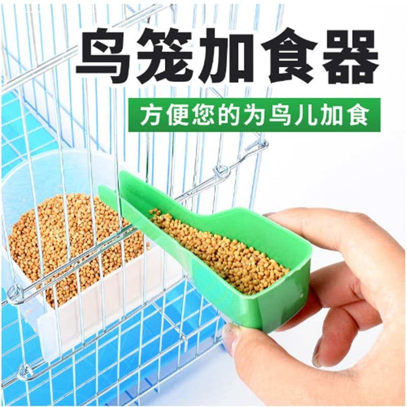 Recipiente de comida para pássaros, garfo de frutas, copo de comida para pássaros com espátula de grãos, espátula de com