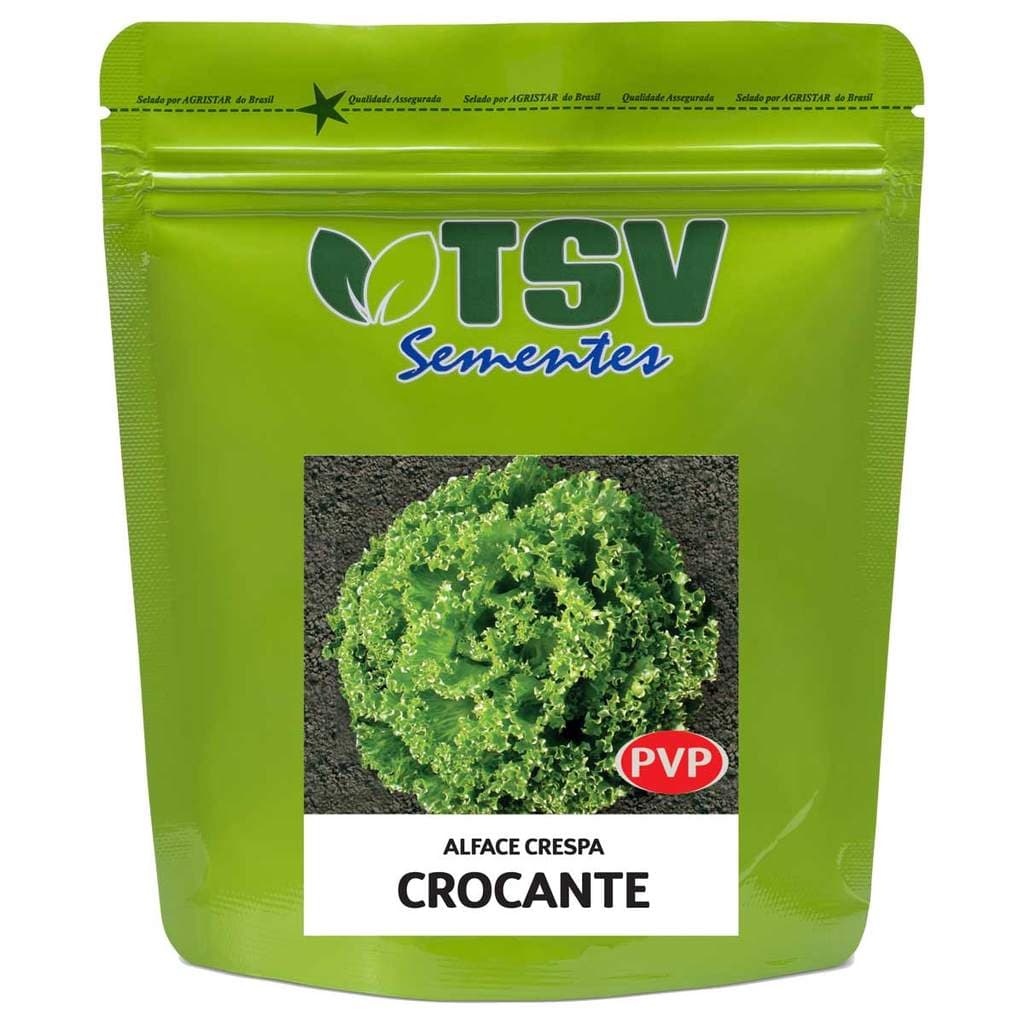 Sementes De Alface Crespa Peletizada TSV  (Crocante)