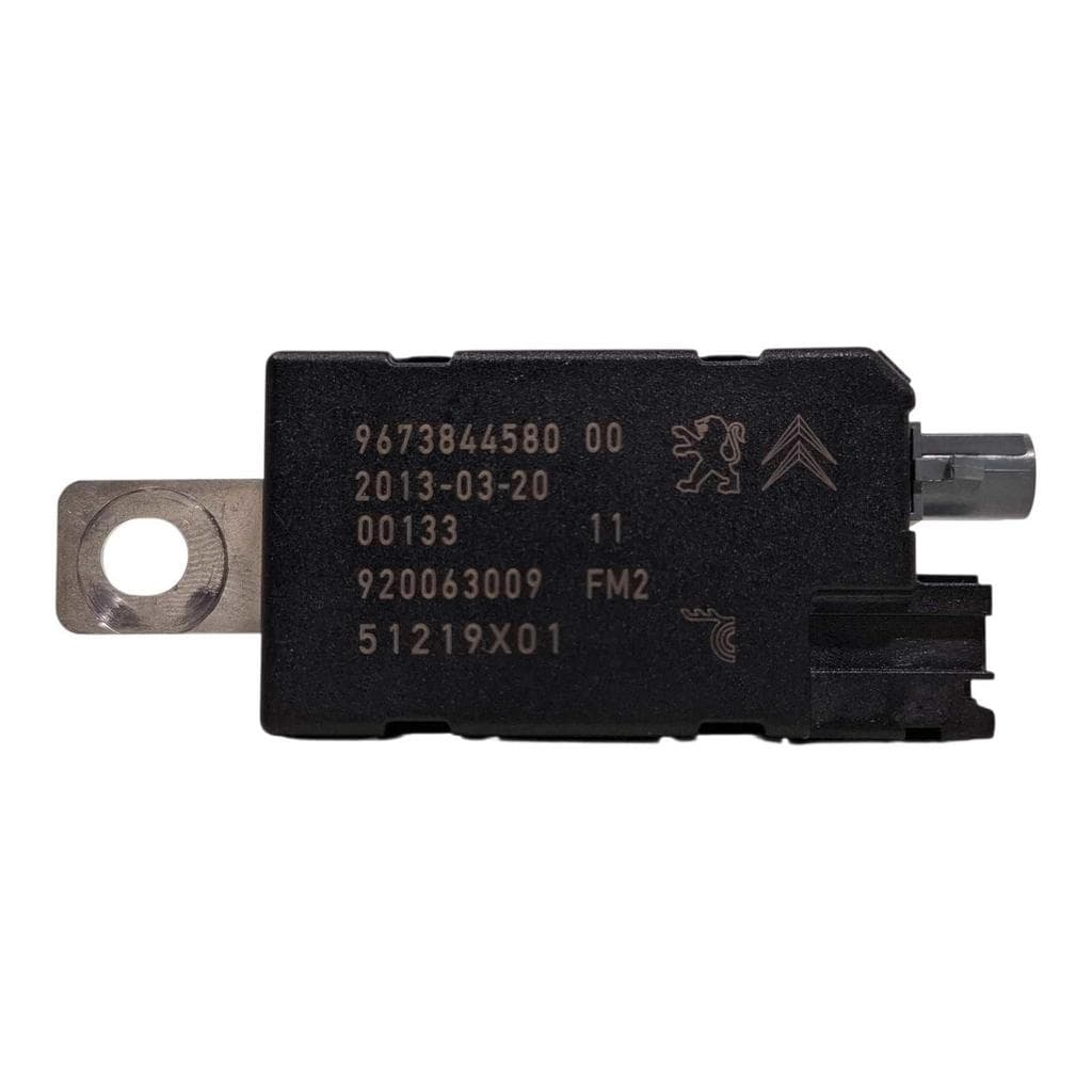 Rele Módulo Antena Citroën Ds5 1.6 16V 2014 9673844580