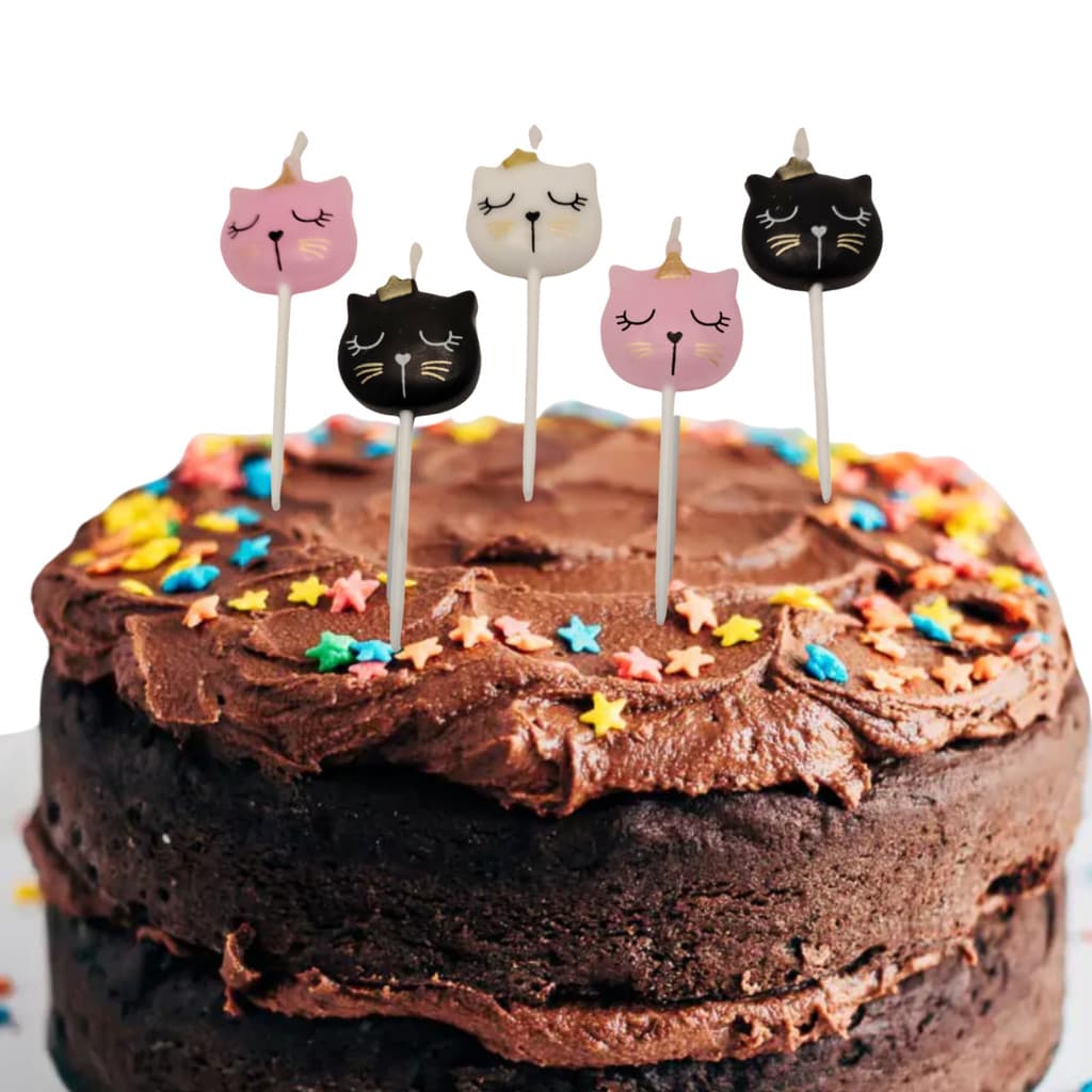 Conjunto 5 Velas Gato Aniversário Pets - Rosa Preto Branco Festa
