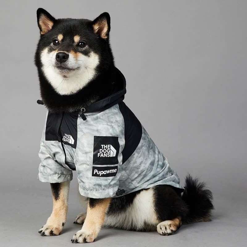 Casaco casaco impermeável para cães à prova de vento com cara de cachorro
