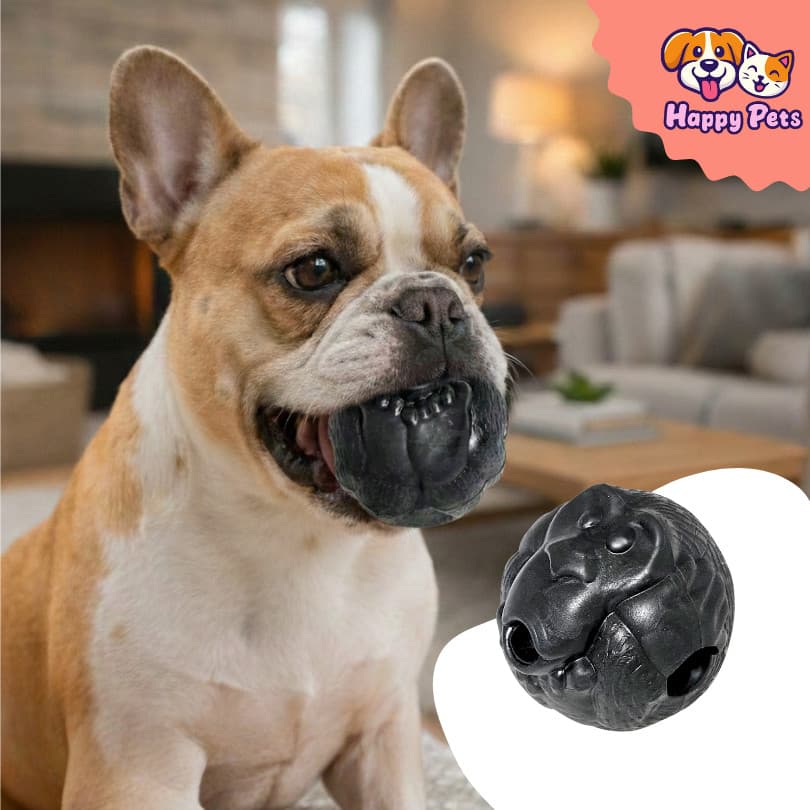 Bolinha Porta Petisco Macaquinho Da Pet Games Brinquedo Resistente Aroma de Banana Cães Porte Médio