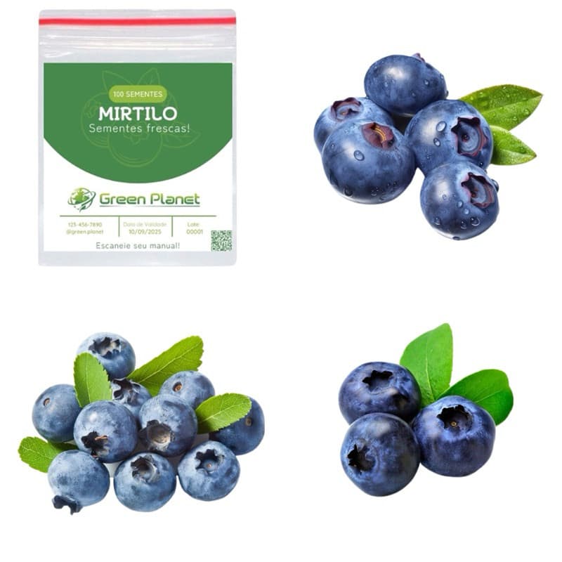 Sementes premium 50 Sementes de Mirtilo (Blueberry) - Faça sua Horta!