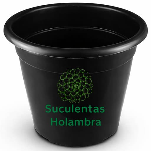 Kit 5 Vasos Redondos Grande Preto 15 Litros