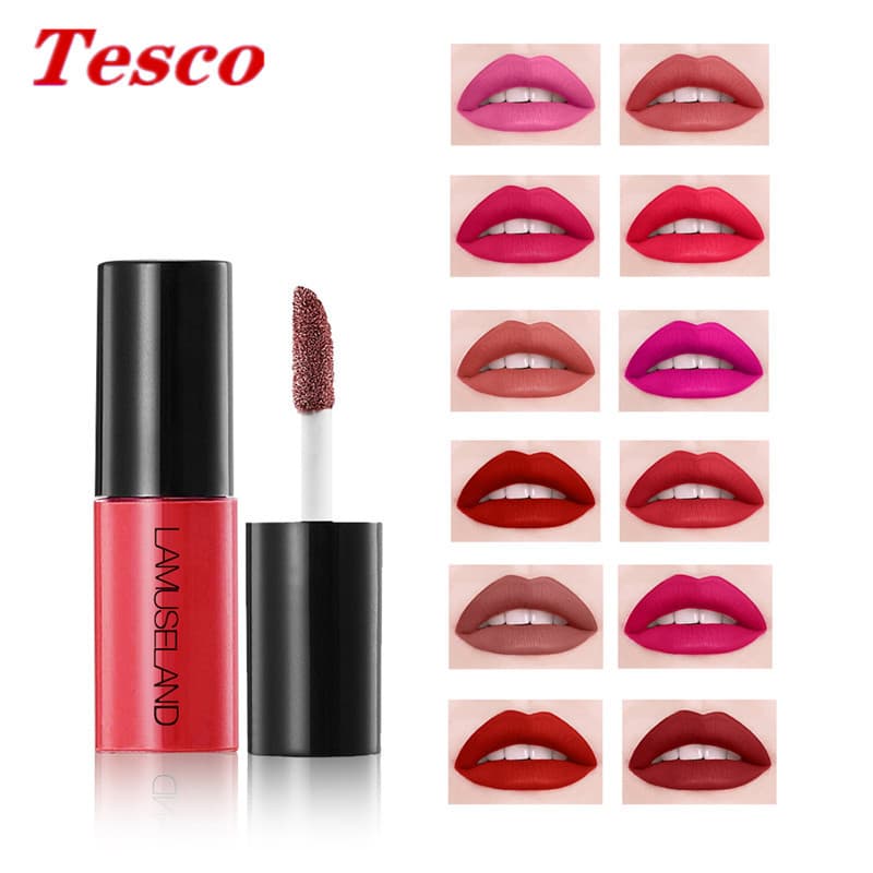 12 Cores Mini Matte Lip Gloss Glaze Batom Maquiagem