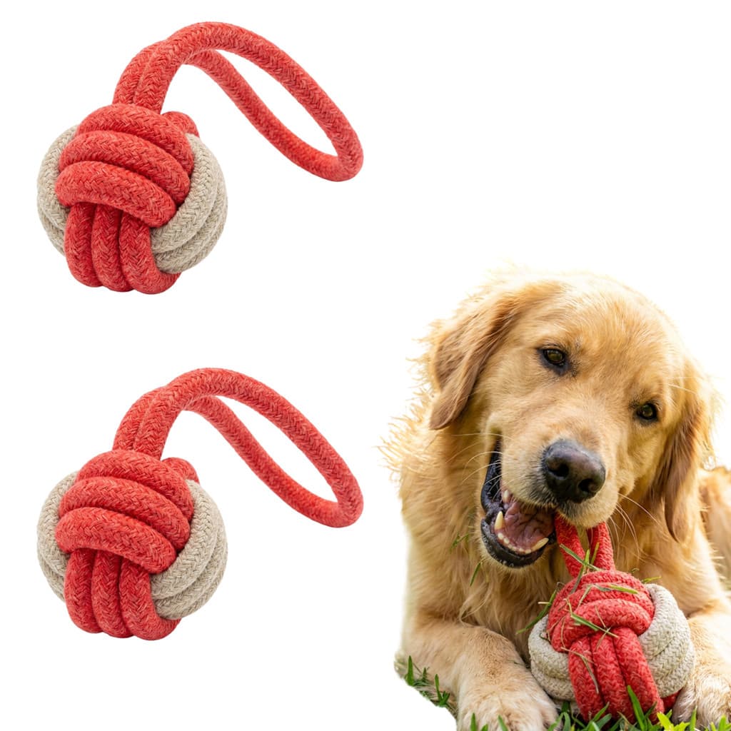 Kit 2 Bola Mordedora De Corda Brinquedo Para Cachorro Diversão Saúde Para Seu Pet