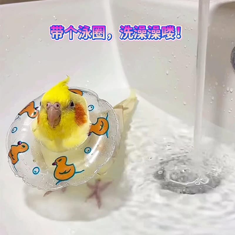 Adereços brinquedos de pássaros descompressão banho tartaruga anel de natação pequeno Hamster anel de natação papagaio a