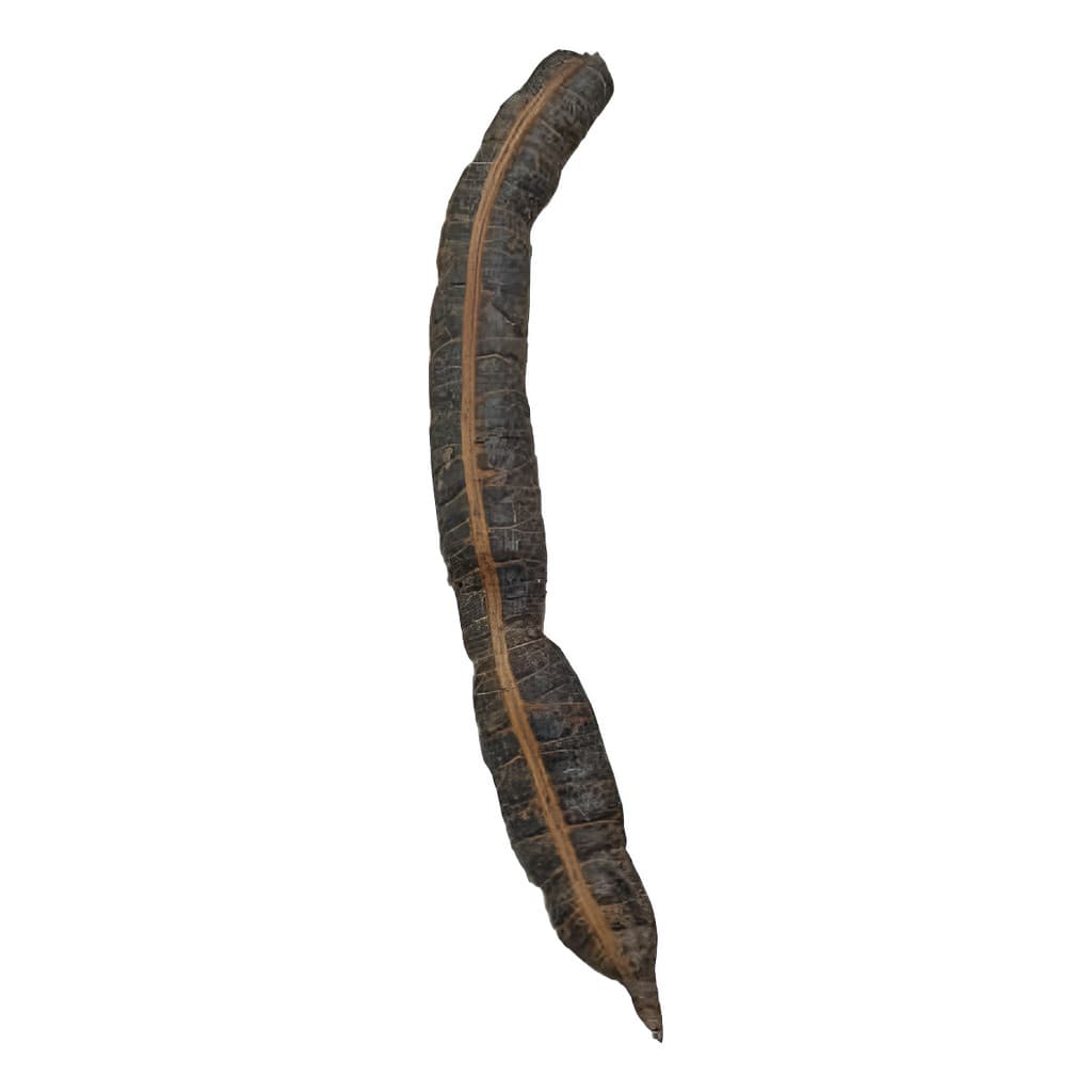 Fava De Nanã Umbanda E Condomblé