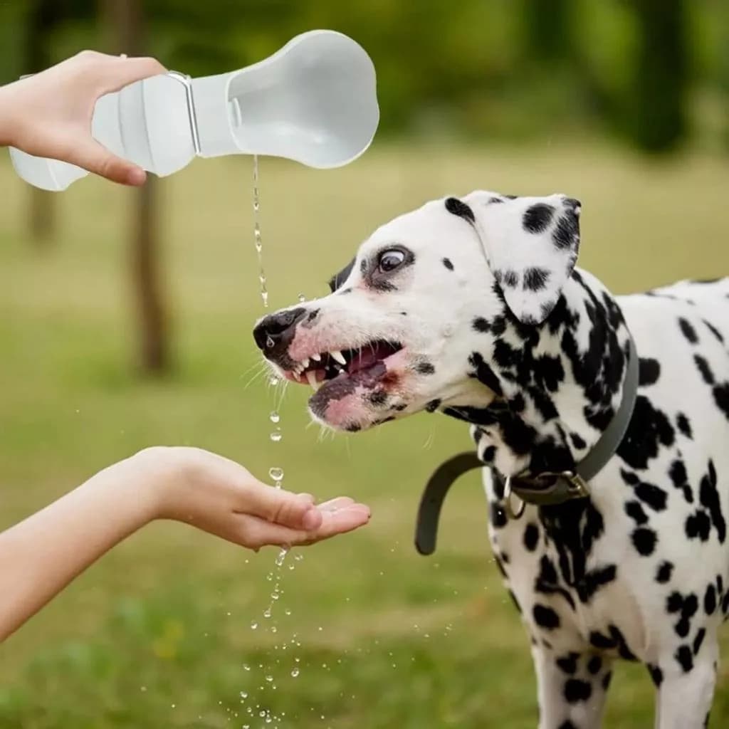 Bebedouro Pet Dobrável Silicone Tigela Água Cachorro Gato Passeio Viagem Caminhada Sede Alimentador