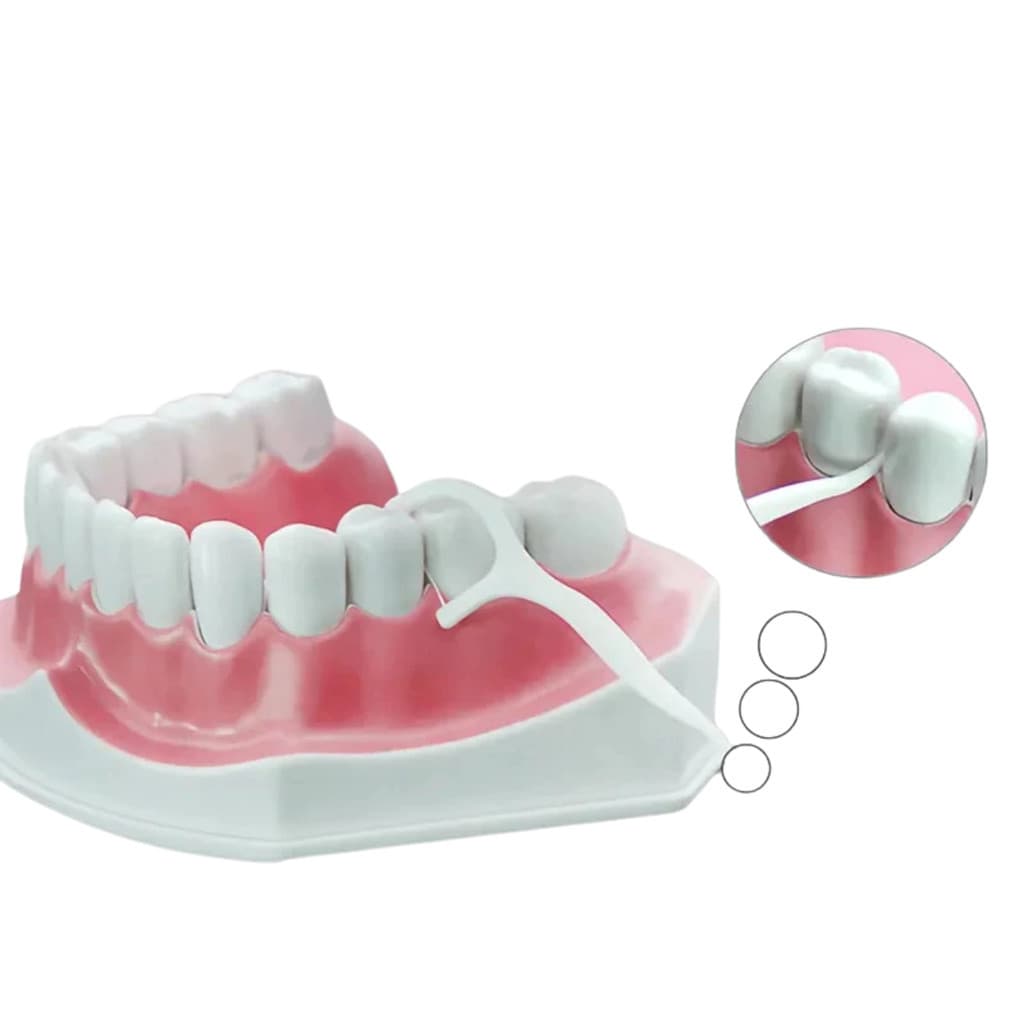 Fio Dental em Arco 50 Unidades | Fio Dental Palito Ultra Fino Descartável