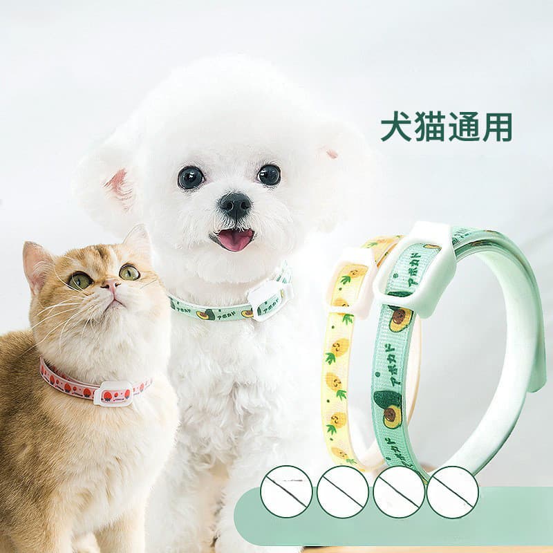 Coleira de óleo essencial para cachorro, coleira para passeio de gato, primavera verão, venda quente, coleira para anima