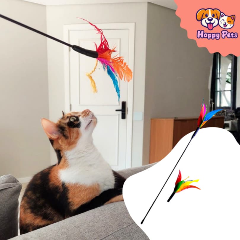 Varinha De 60cm Com Refil Varinha Cat Da Pet Games Brinquedo Super Resistente E Funcional Para Gato