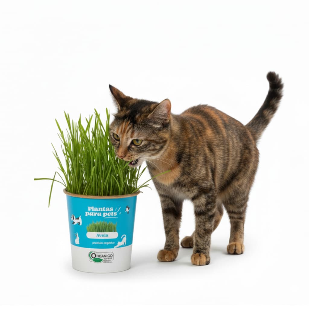 Graminha Orgânica para Cães e Gatos Ornamental 60 g