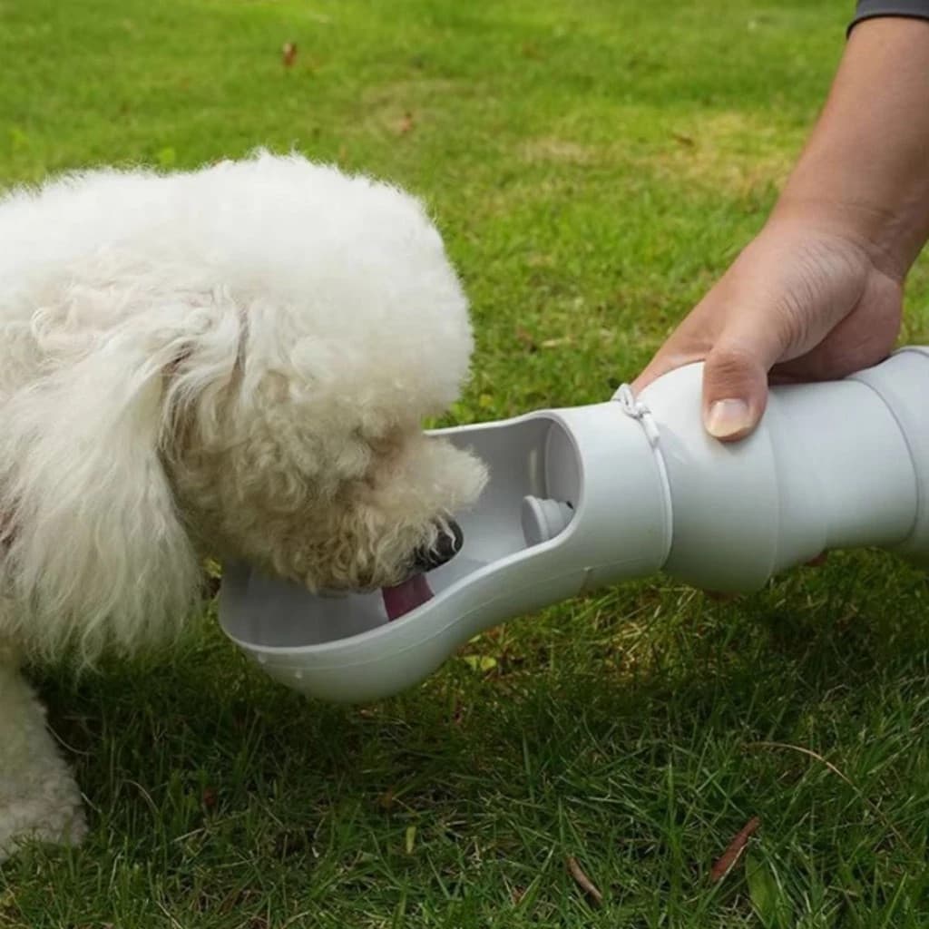 Bebedouro Tigela Silicone Pets Caminhadas Dobrável Refresca Sede Passeios Lazer Viagens Água