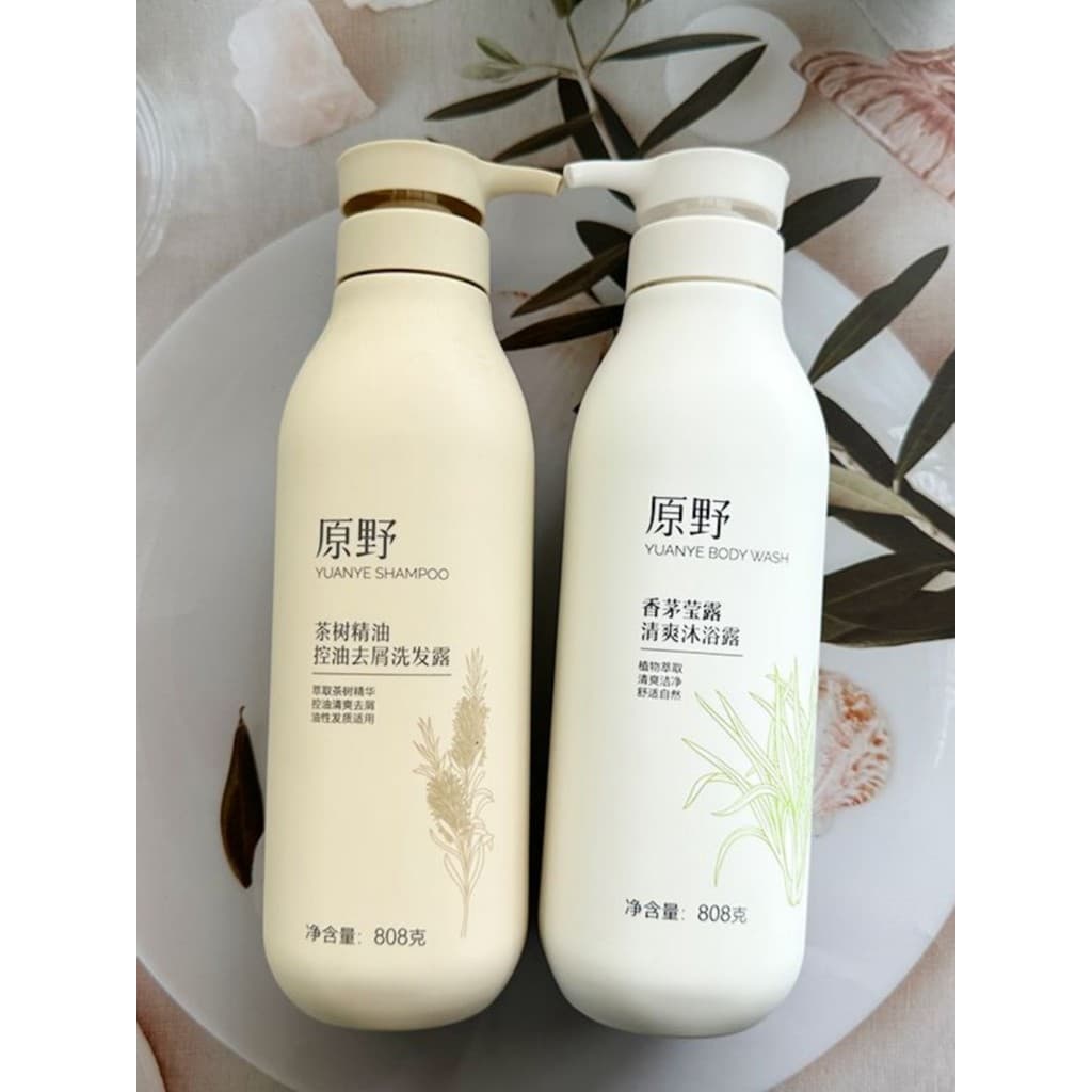 Shampoo anticaspa de gengibre selvagem, capim-limão, lavagem corporal, shampoo macio e sedoso, pele limpa, terno masculi