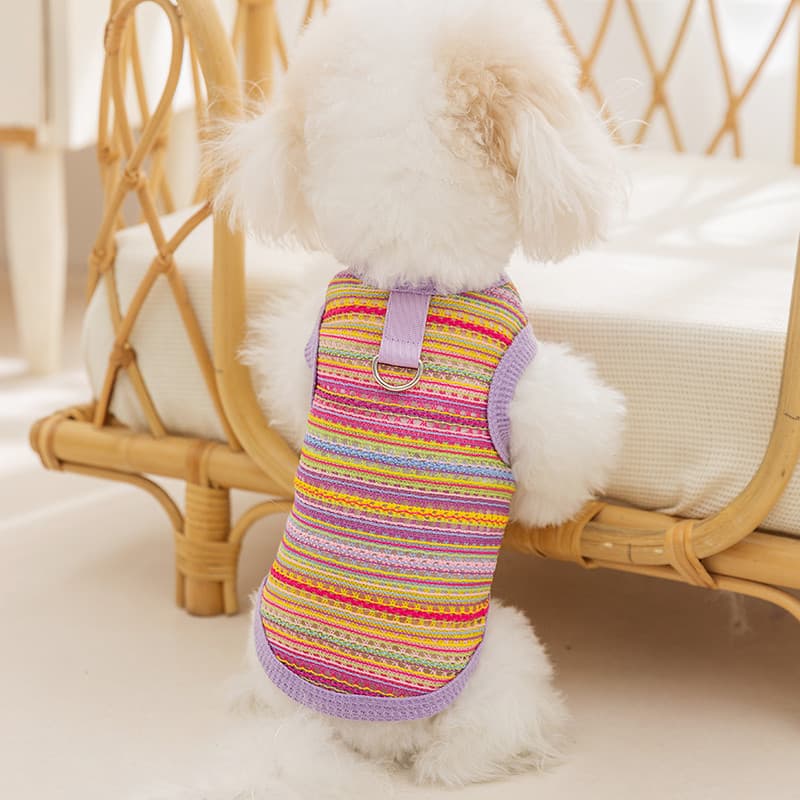 Cão de estimação verão estilo fino arco-íris multicolorido tecido oco tração colete pequeno cão Bichon Teddy roupas para
