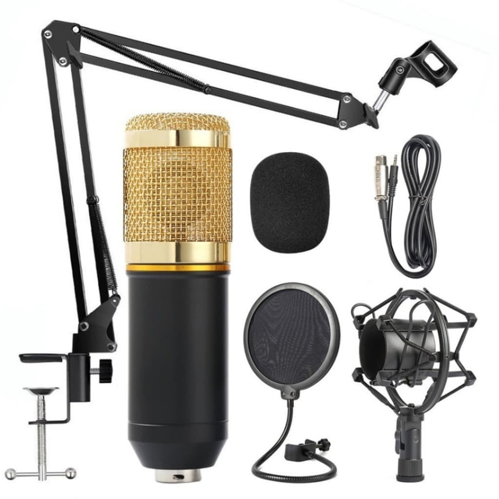 Kit Microfone Profissional Completo BM800 Dourado com Braço Articulado csw