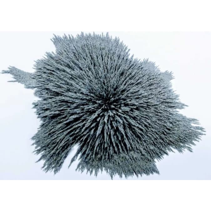 Limalha Ferro Orgonítes Artesanatos, Toroidal, 0,750 Kg
