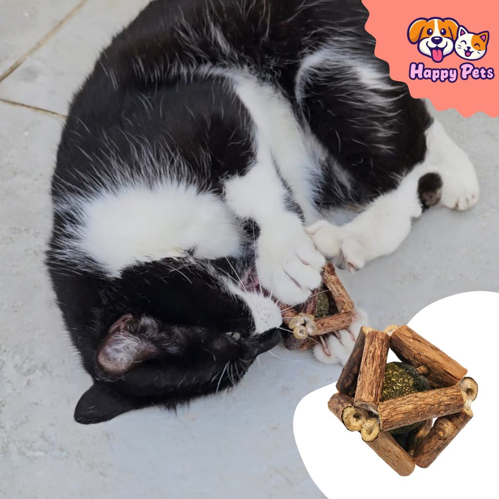 Brinquedo Gato Matatabi com Catnip Bolinha Lamber Limpa Dente