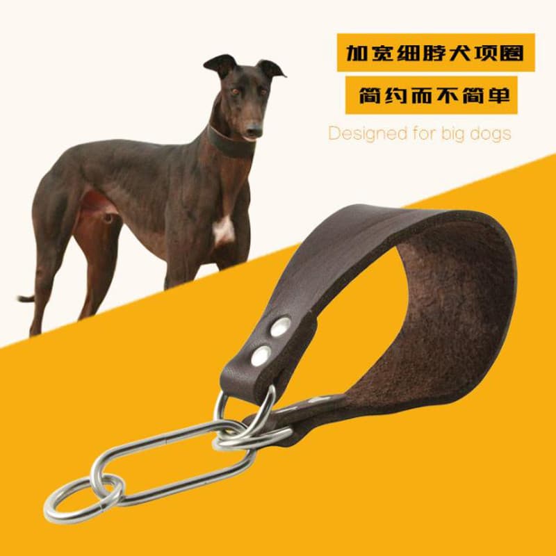 Lingti coleira de cachorro de couro Ebita, coleira fina para cachorro, coleira para cachorro, alargada e confortável, co
