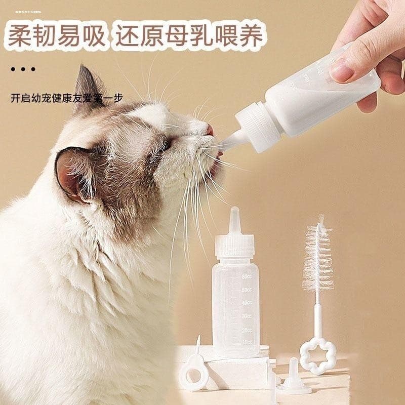 Garrafa de bebê gatinho recém-nascido animal de estimação grandes filhotes pequenos leite gatos alimentador especial do