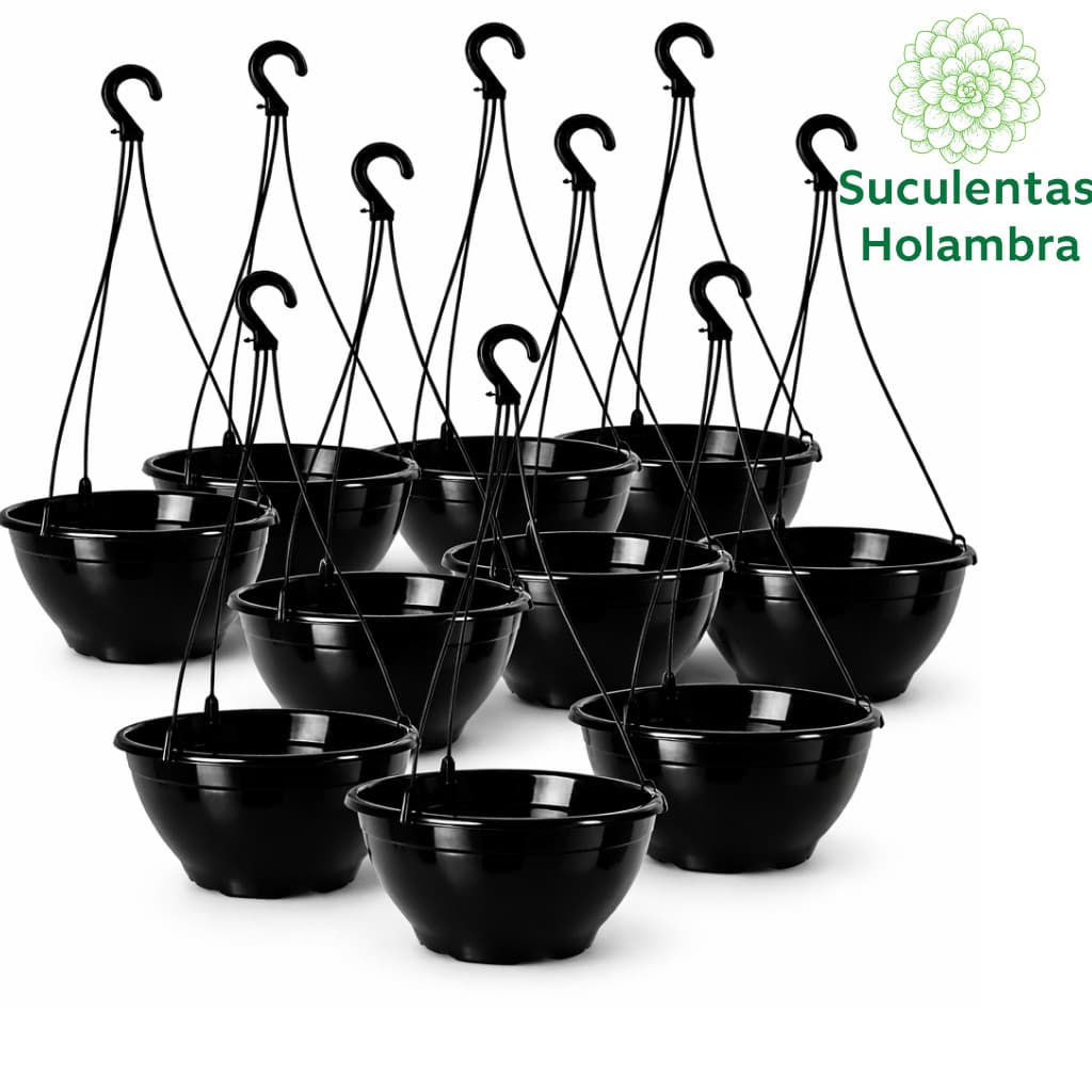 Kit 10 Vasos Cuia 21 Com haste 43 cm - REFORÇADO Cor Preta - Ideal p/ Rosa do Deserto, Samambaia, Suculentas e Cactos
