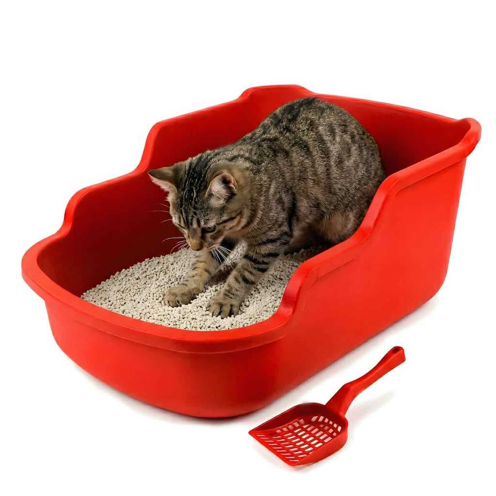 Kit Caixa De Areia Aberta Alta Elegance + Pá Higiênica Anti Respingo Para Pets - Furacão Pet