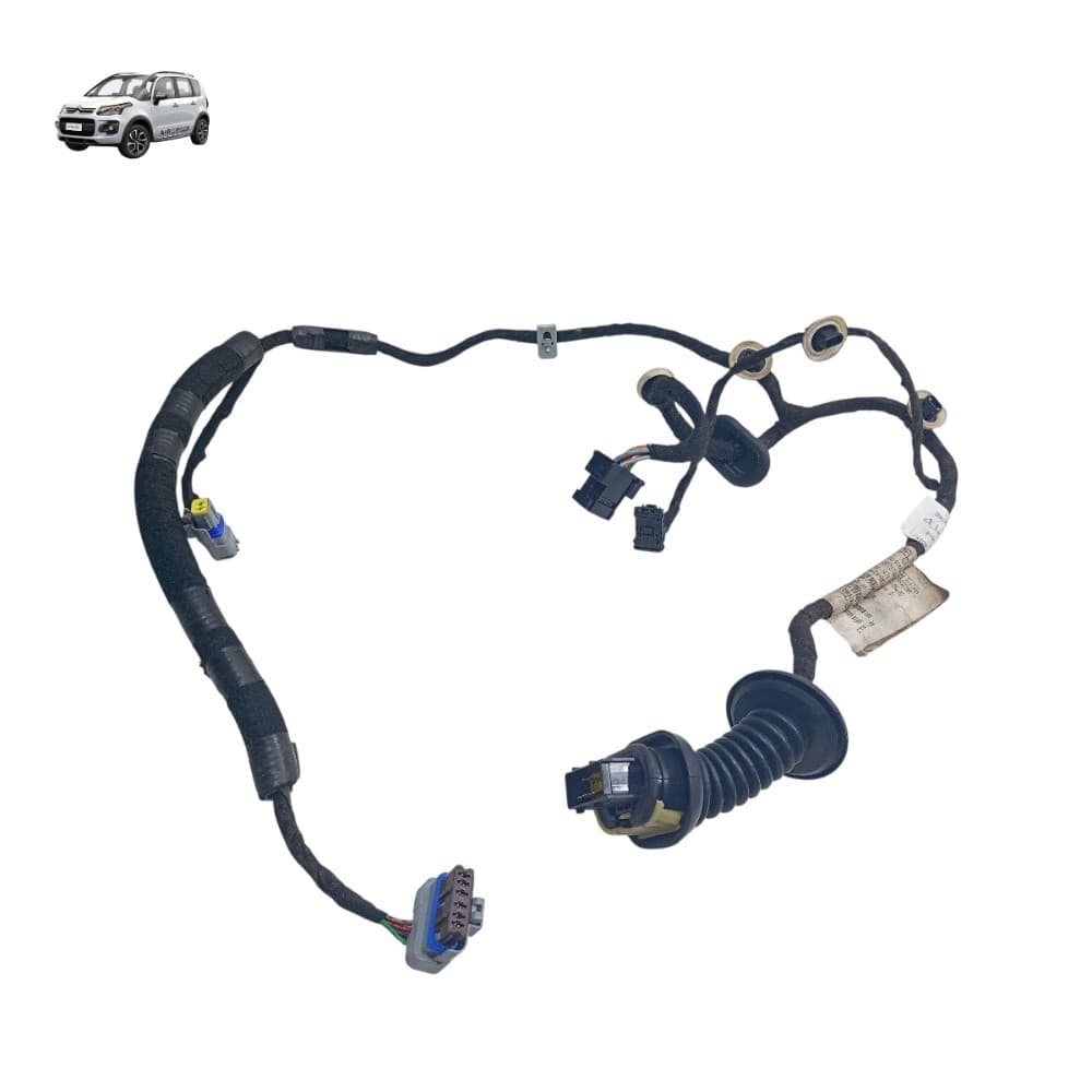 Chicote Porta Traseira Direita Citroen C3 Aircross 2012 2013