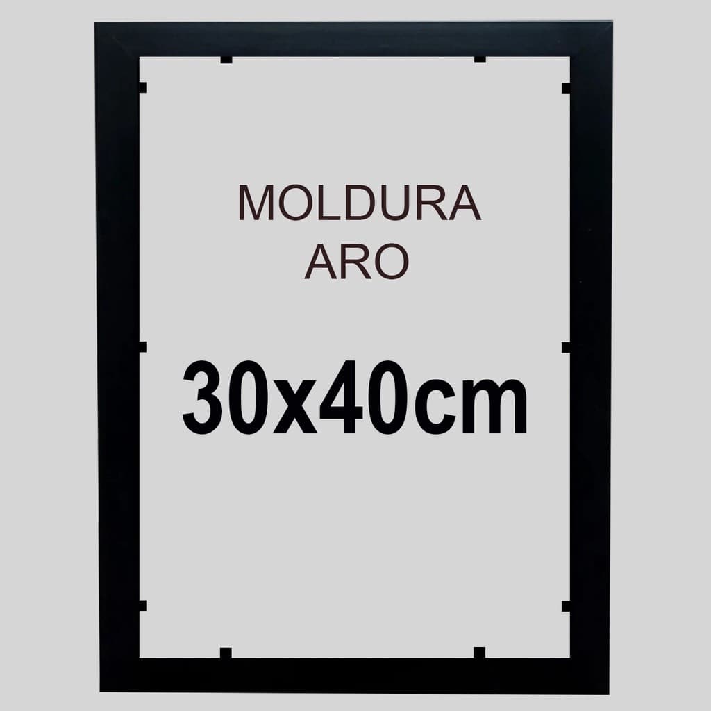 Moldura Quadro Aro 30x40cm