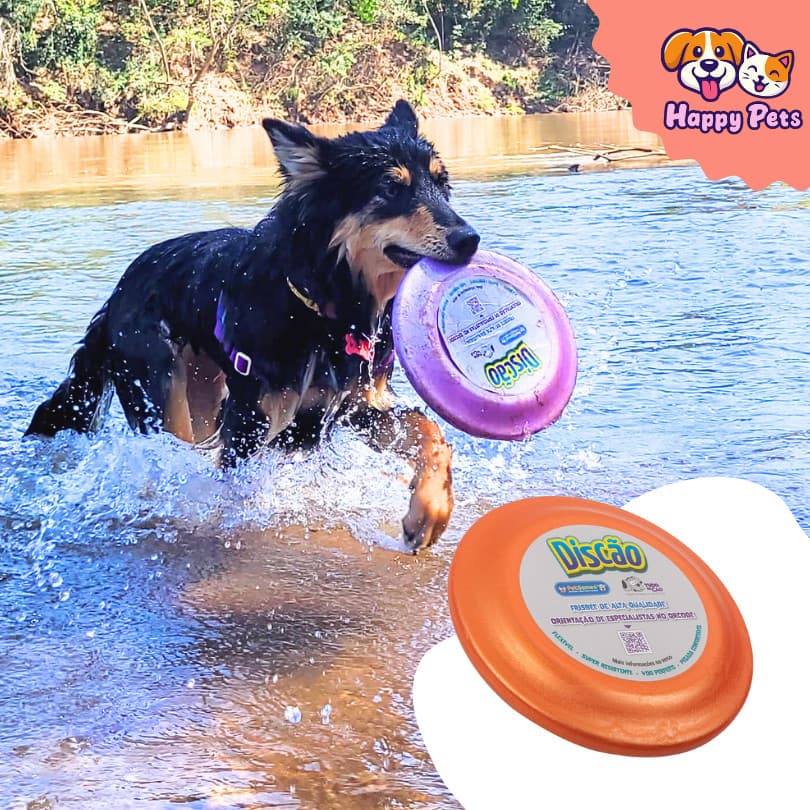 Frisbee Da Pet Games Discão Brinquedo Para Cão Flexível Divertido E Super Resistente Cachorro