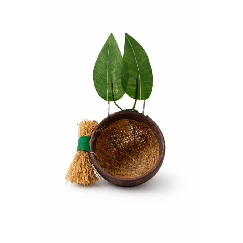 Ninho de Coleira Papa Capim Ideal para aves de pequeno porte
