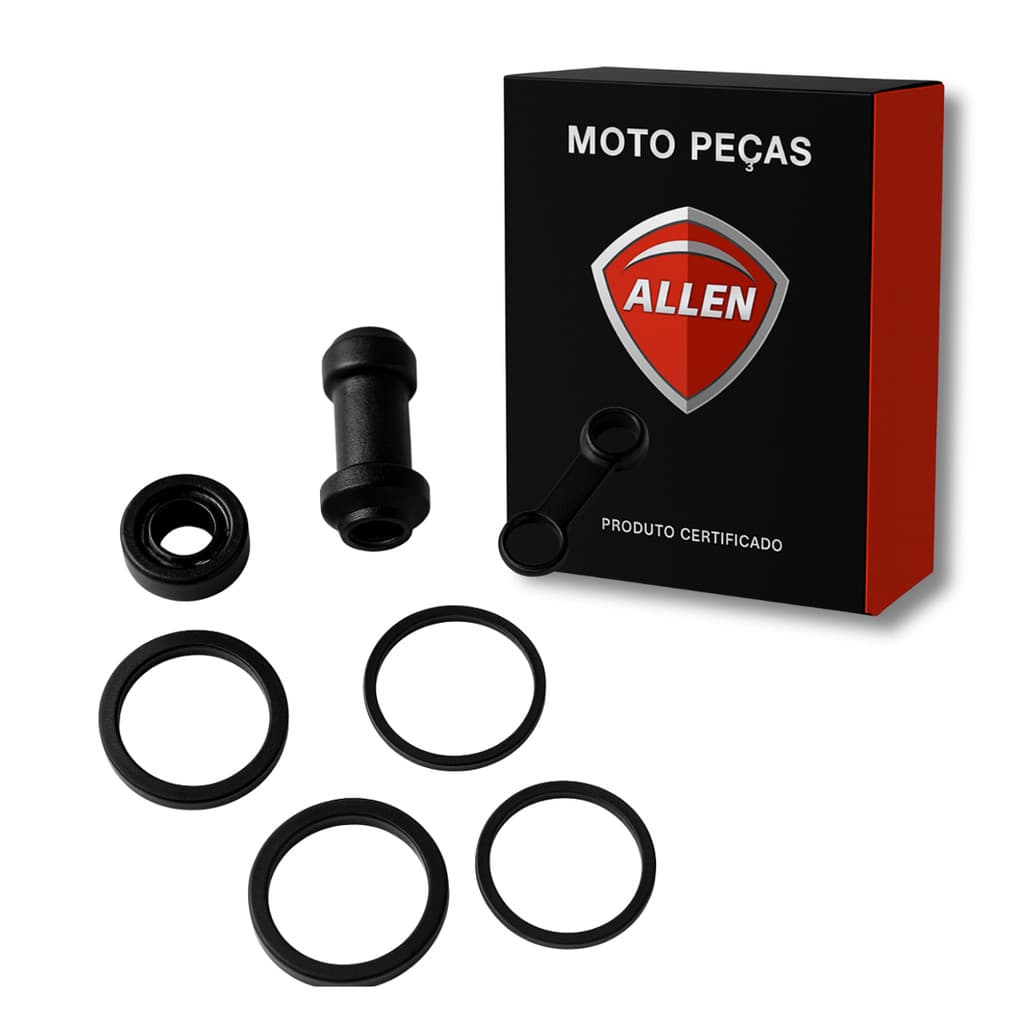 KIT REPARO PINÇA FREIO TITAN 150 2009-2014 CBX 250 2001-2008