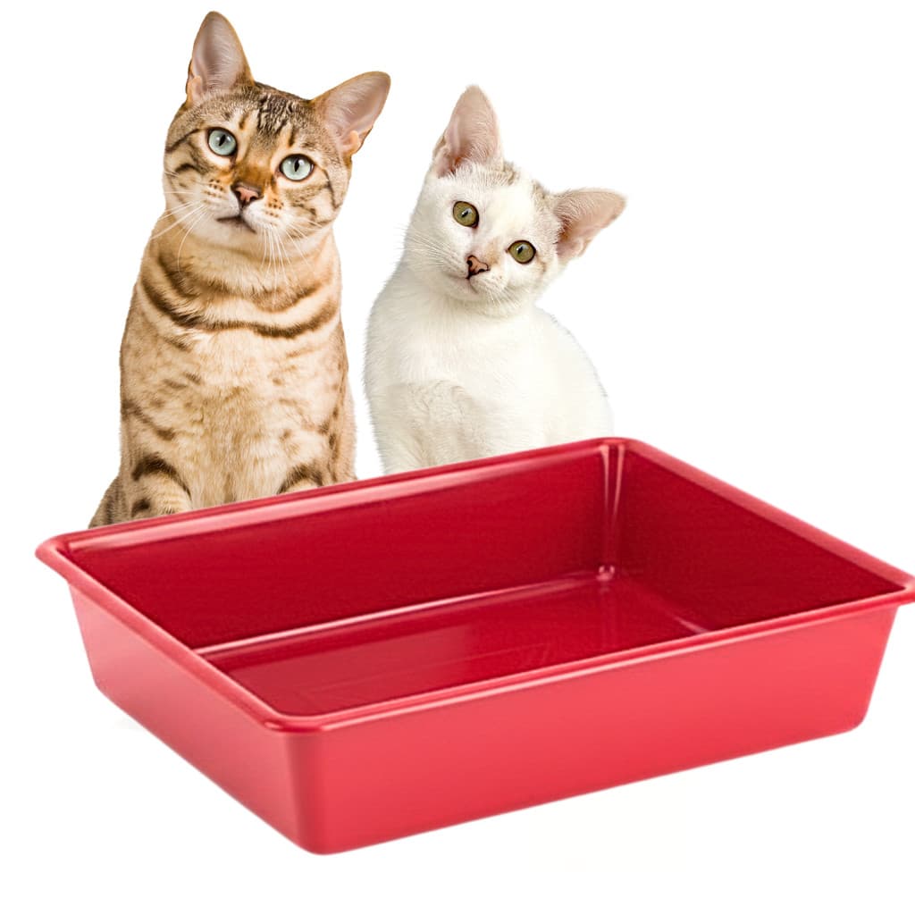 Caixa de Areia Gatos Bandeja Higiênica Resistente Fácil de Limpar Diversas Cores 35X30CM