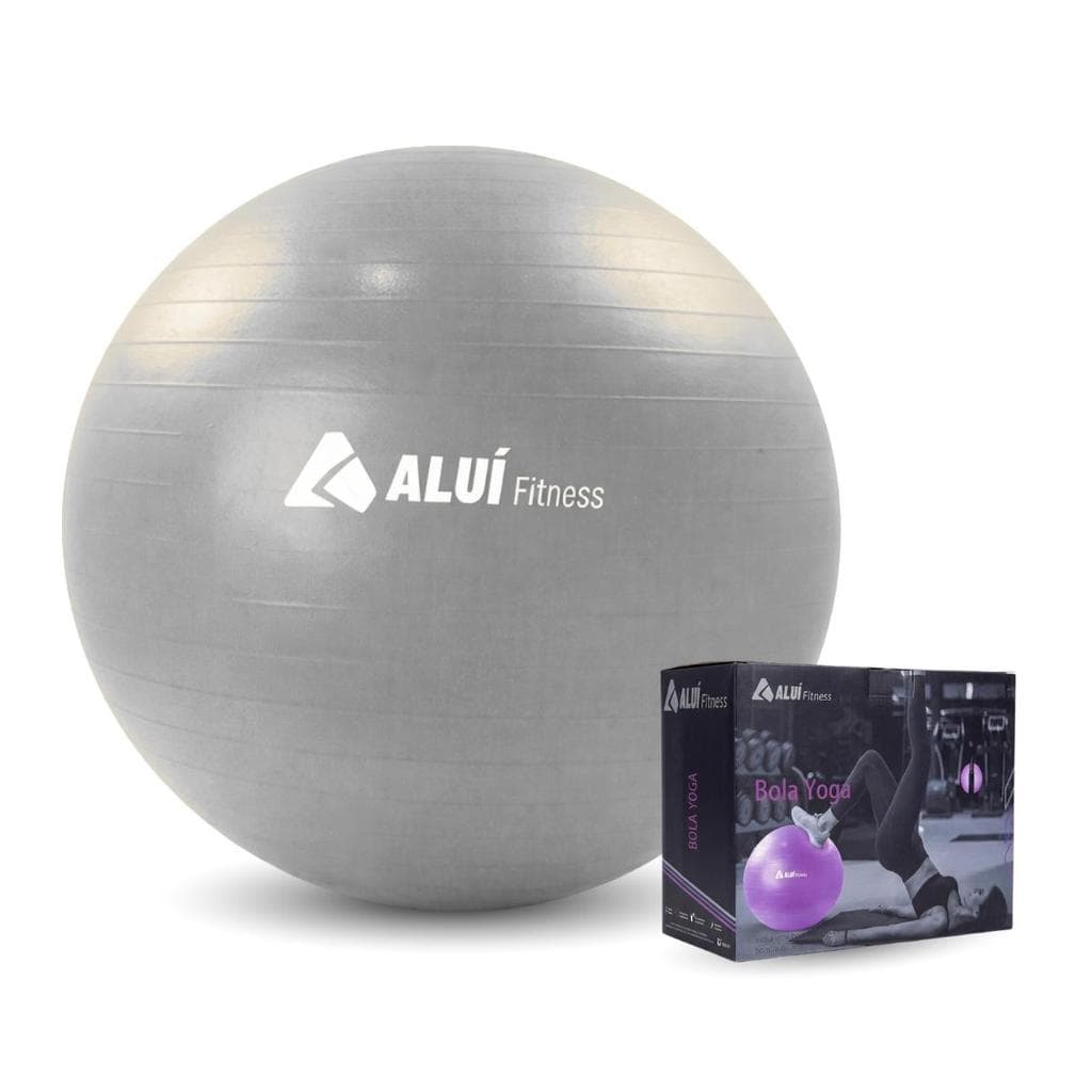 Bola de Exercícios Azul Pilates Yoga Gym 65cm Aluí + Bomba Manual Encher
